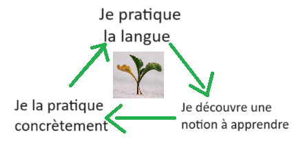cercle vertueux de la pratique de la langue - je pratique, je découvre une notion à apprendre, je la pratique concrètement, je pratique